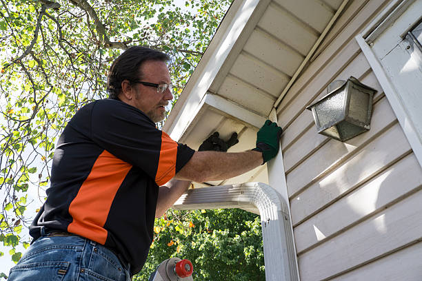 Affordable Siding Repair and Maintenance Services in Dayton, MN